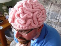 Purls Patterns Knitted Brain Hat